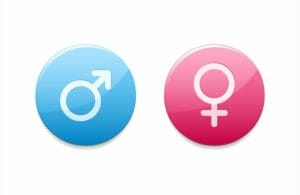 フランス語の名詞には男女がある？基本を解説！